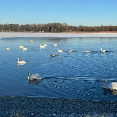 شقة Swanmere Lodge, Lakeside View Pinelake كارنفورث