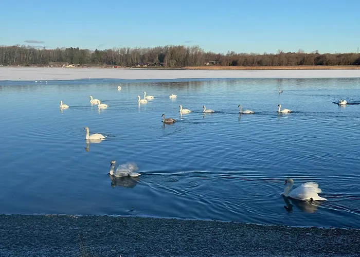 Apartamento Swanmere Lodge, Lakeside View Pinelake Carnforth