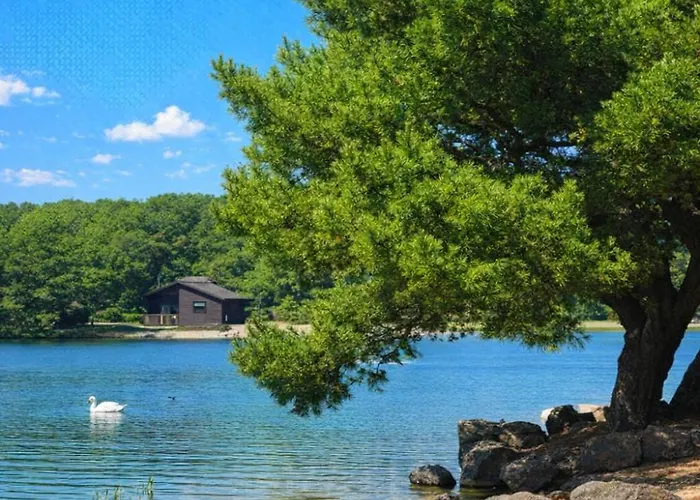 Apartment Swanmere Lodge, Lakeside View Pinelake Carnforth