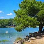 公寓 Swanmere Lodge, Lakeside View Pinelake 康福斯
